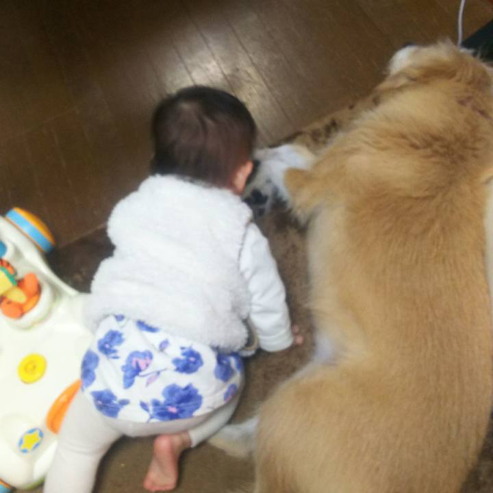 81c4be2e 4c8f 4f9d aa12 b0070138962e 1509179252563