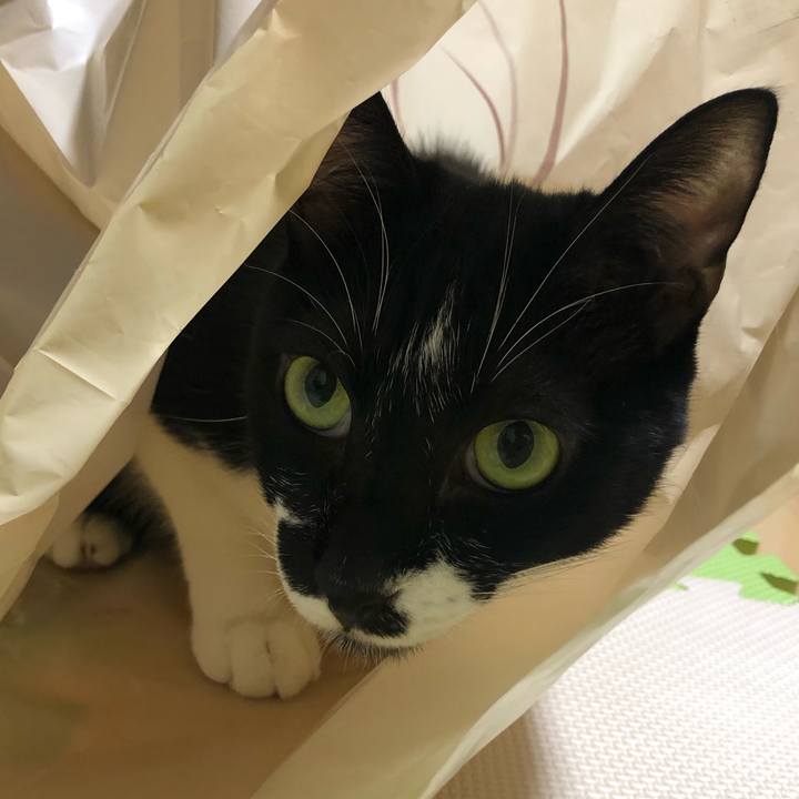 81c4c5cb 20fe 44ff 93a4 ce123daf35af 1570274442070