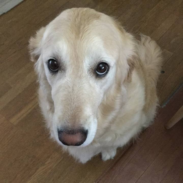 81c4e244 8eb5 47a2 ac64 83b635f9b496 1530826443636