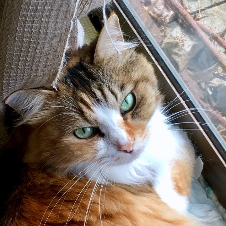 81c4f5b5 bf67 4a92 bb7b 3628b9ffc4ce 1569379474022