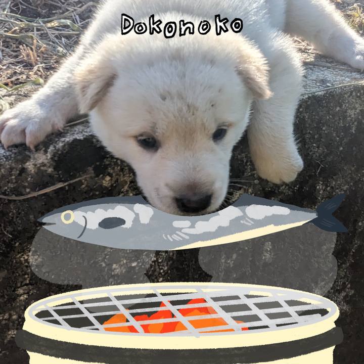 81c515b1 007e 444b b691 93fe88b71853 1761989519744