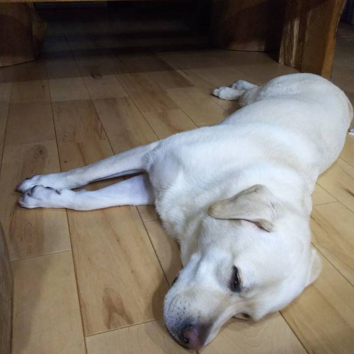 81c51bbb 8270 436b ab2e 61caff20da5a 1565091366211