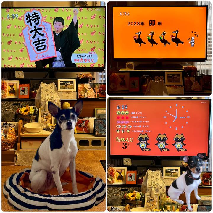 81c51ecc 212b 4d90 814a 3d6f6559b545 1673216221855