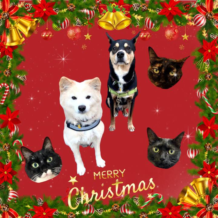 81c53fde 8399 4707 92fd c0778c99b426 1671935167442