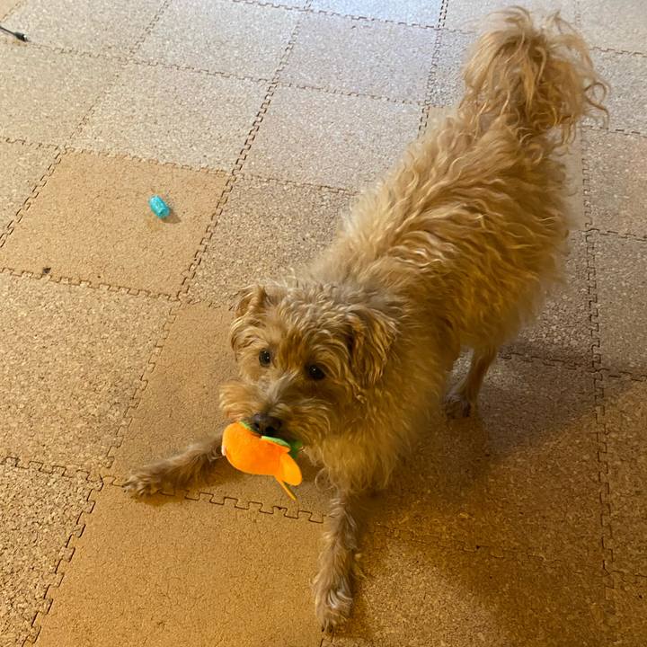 81c55bf7 9c52 430b adf0 c8f4588d6464 1699913261445