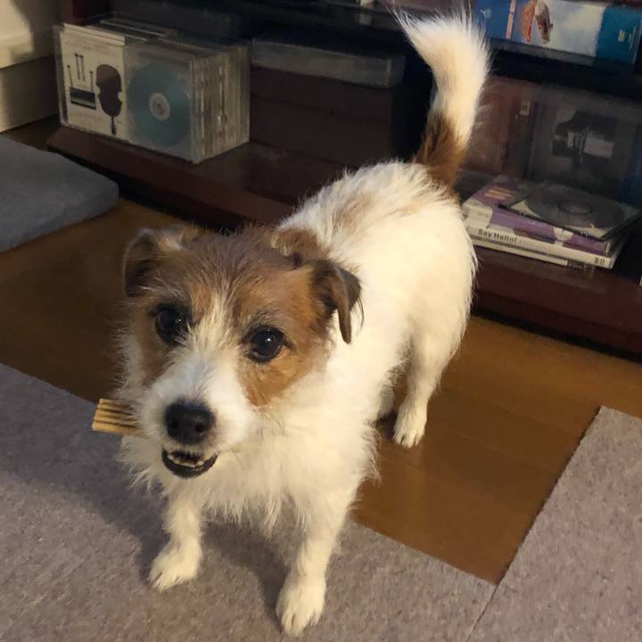 81c5a8f9 d4d1 453f a41b 2ed521ae6d69 1604402190342