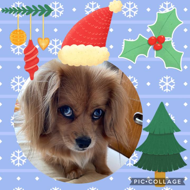 81c5d0a2 1258 4e8e 837b 4d5e5eea4356 1576980725897