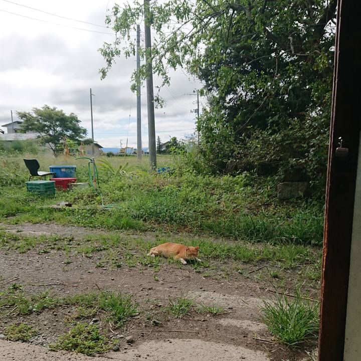 81c5e699 68da 4827 a333 28aefafccf99 1599965740077