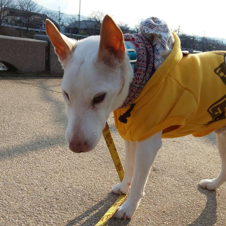 81c6065b 834e 4437 b82d 25d69a79477d 1550363898613