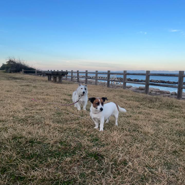 81c625df bacc 42f8 a167 ca6f4c5f0417 1732577482291