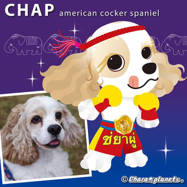 81c62f6c 8258 4156 b131 745a6825e53d 1566372304190