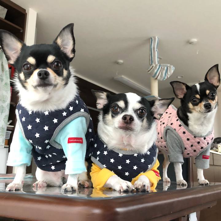 81c64ae9 1146 47ab ace5 f12850db1ca6 1544670545100