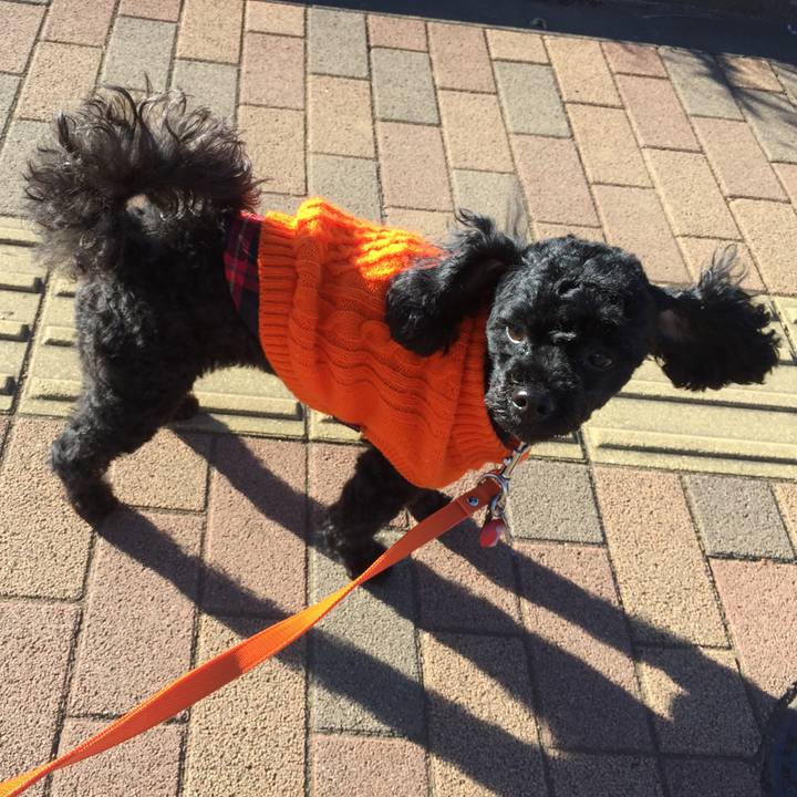 81c65d8a b329 4db5 a2da 7f8b2a259db6 1515895543208