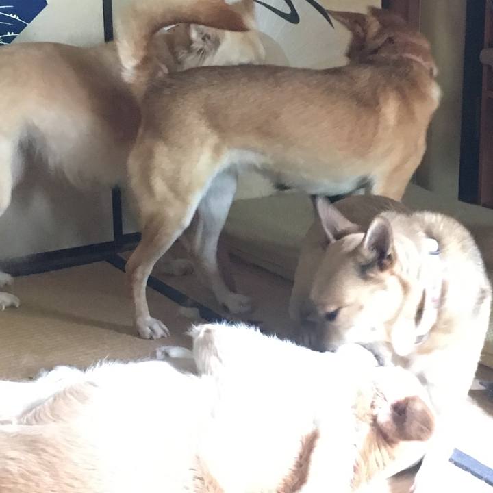 81c65dda fa0b 47ed a483 aaf13470e9ff 1529192581079