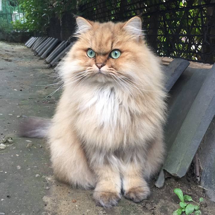 81c6644d 3dd3 4c4b ac6c 1b7e8ab99b0c 1572072989974