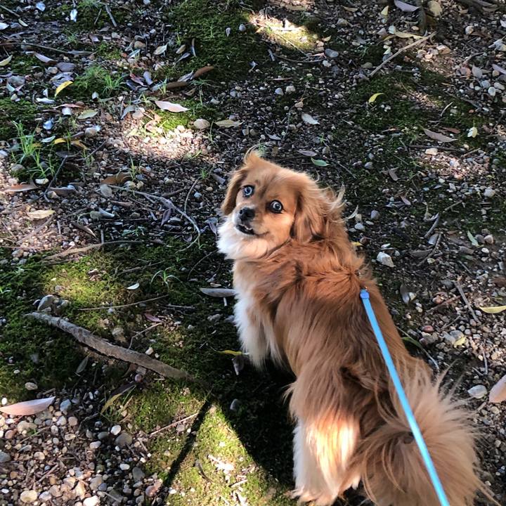 81c664ba 6861 46d6 9f2a cfdc0d3b0198 1556324239320