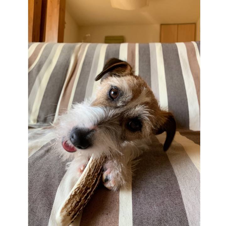 81c68ec5 870e 49d5 a4b1 b8ed2ed5f8e5 1584486952755