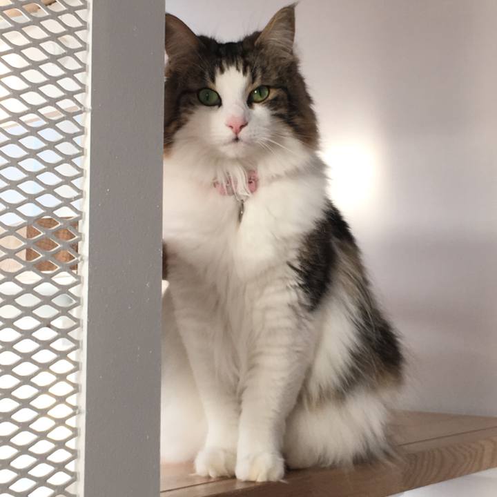 81c6a2b9 fbac 4d45 82c0 7f61ee53f607 1523191179227