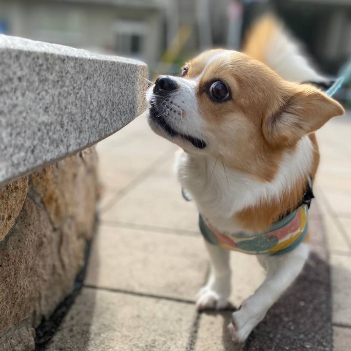 81c6adf2 46df 4efe b224 15db74428761 1603069928368