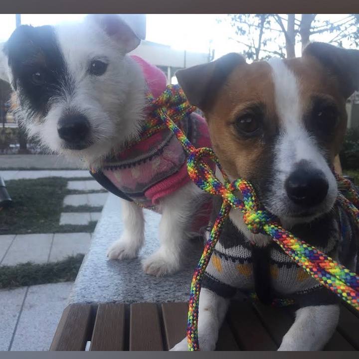 81c6bb7c de90 4638 a67e 67500270c6cb 1675337436879