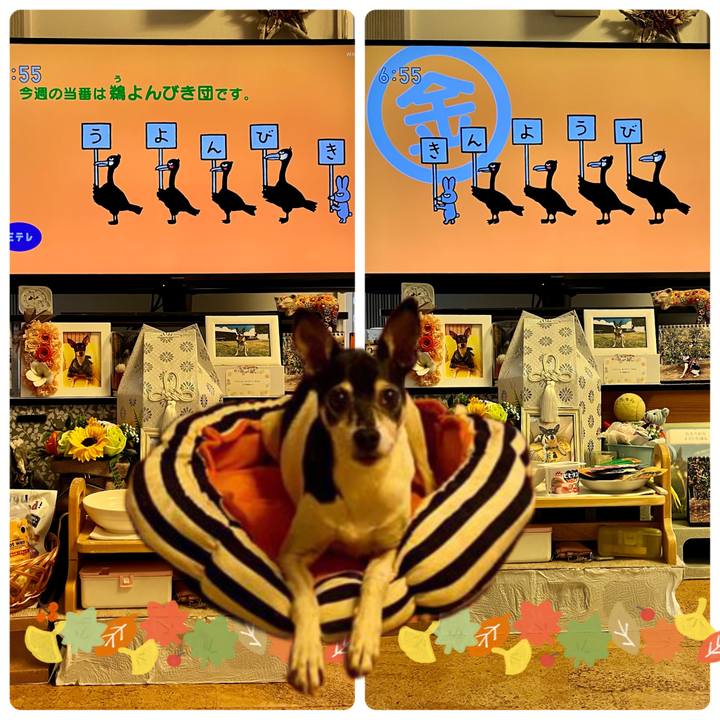 81c6dd38 66fe 42b9 ba35 53f323d1c5fc 1665093645865