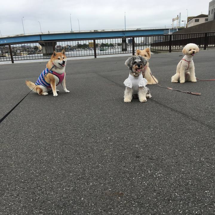 81c7457e 209a 41e4 9792 e4ed7d27b26a 1568338434508