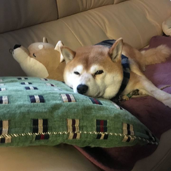 81c7599d e0f7 4a5d 8f97 8b55806e6937 1516776792591