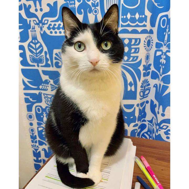 81c75b01 ded1 4314 8818 74e26c0695cf 1679917898817