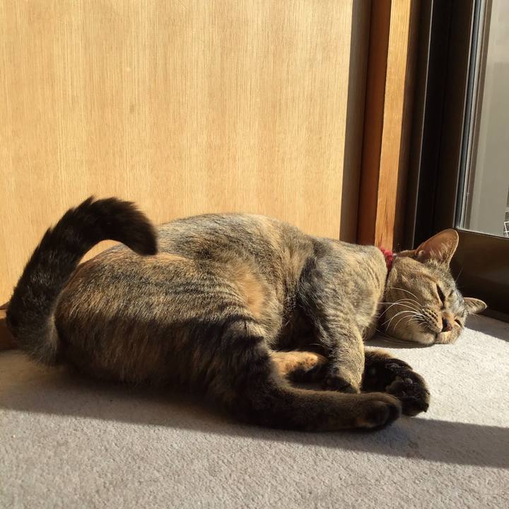 81c81afc 6a13 4f75 8c3f 378513e60c61 1612509293081