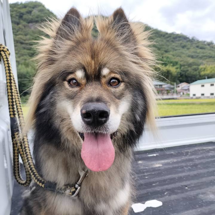 81c81cf5 558c 427e b4e1 491991a94e95 1662853106971