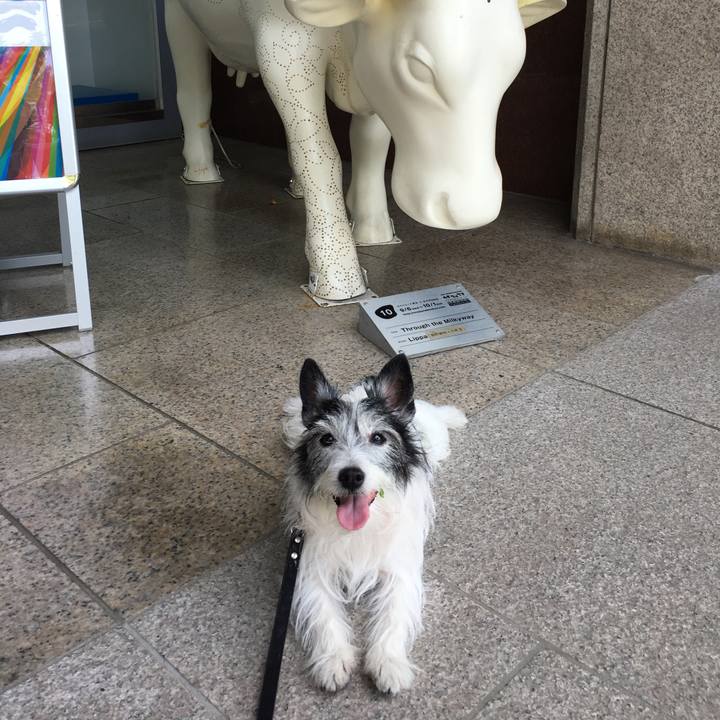 81c82c09 a6d9 4214 a98e a1611c00b175 1559747968977