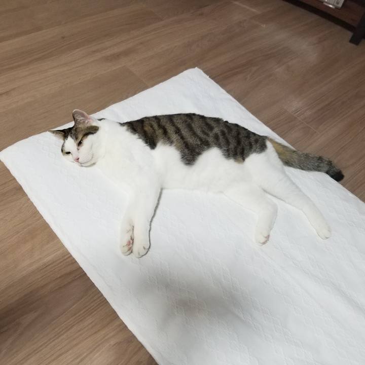 81c88de3 7510 4f5d 9f5d 964f22acc6fc 1605730888346