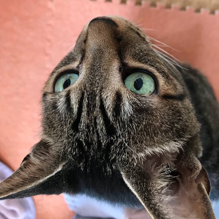 81c8ac3e e642 444d a3b3 623a73cbb832 1525484734913