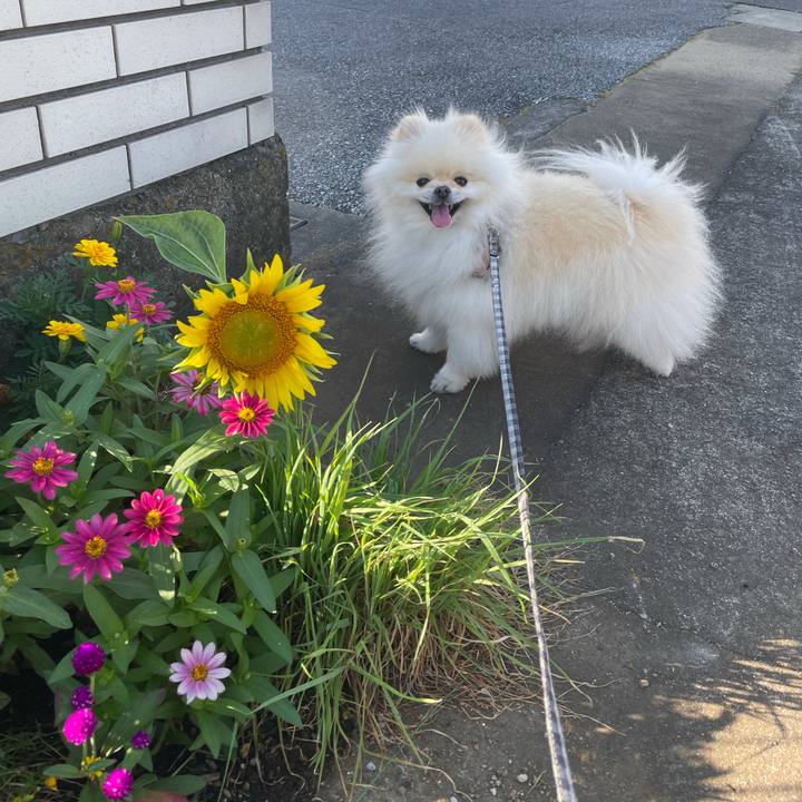 81c8de75 9f88 4d44 8e57 1b7943e9b99e 1627171489344