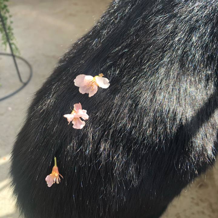 81c91bfa ea73 454c 8d72 2cb8356de3c6 1550469769901