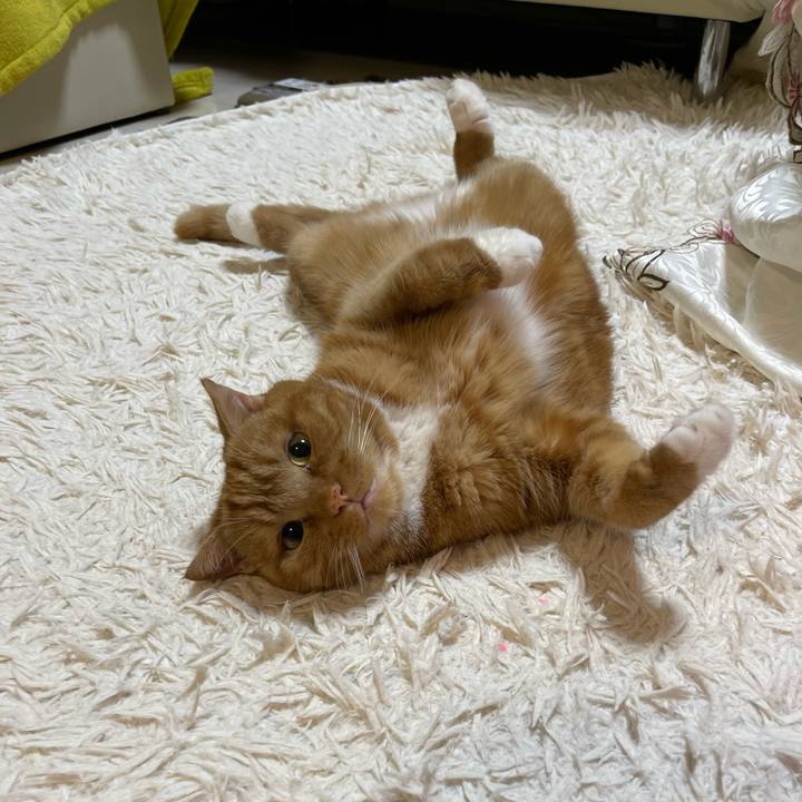 81c91c16 f6db 4a41 891a 45ff1e7c206c 1656250963828