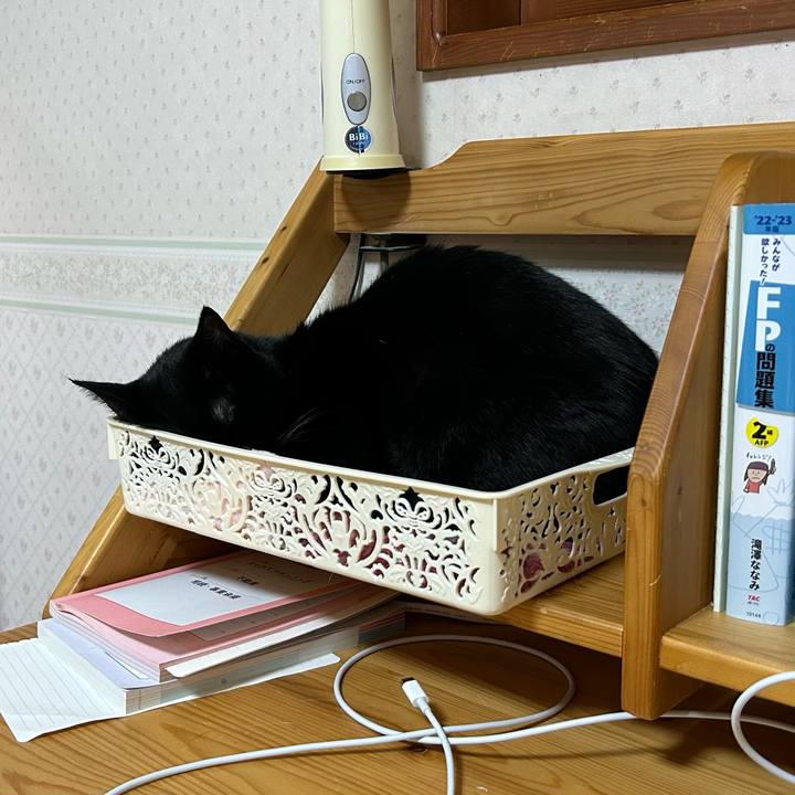 81c932e4 17da 4bff 9059 15951cf5bb22 1676815507216