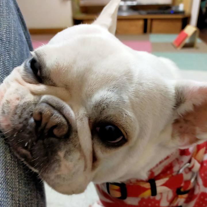 81c95f7b d8d5 4c3b 9b26 e30a2d456cdc 1637966002712