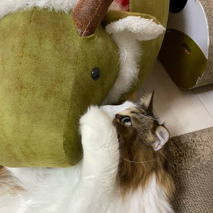 81c9670c 0581 4bd8 8265 88b57509f5ae 1737235261894