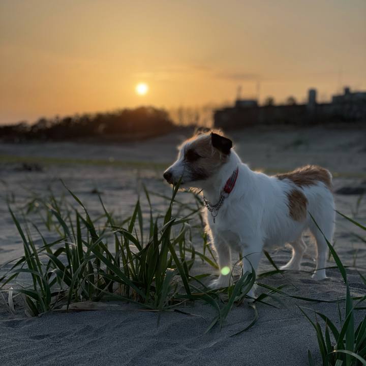 81c971b1 4262 446d b2c9 2862685615e5 1617398171244