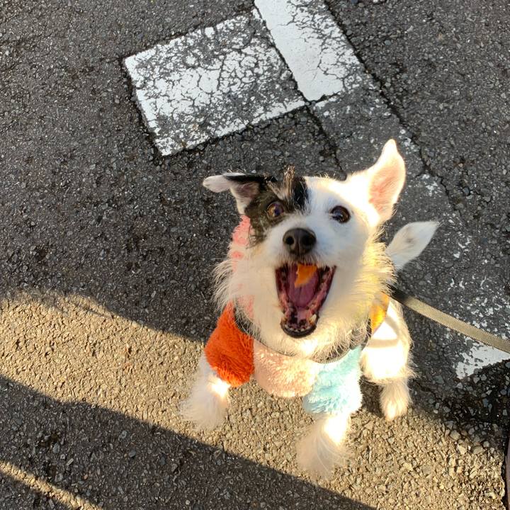 81c99950 ee36 414e a6c4 0a52e64f0538 1738023429580