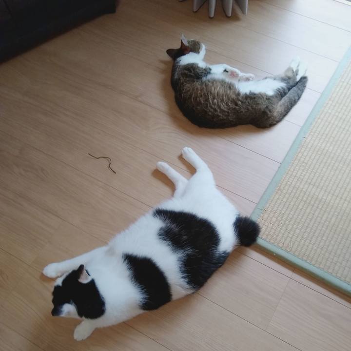 81c99984 697a 45b3 b154 960085979887 1563706476396