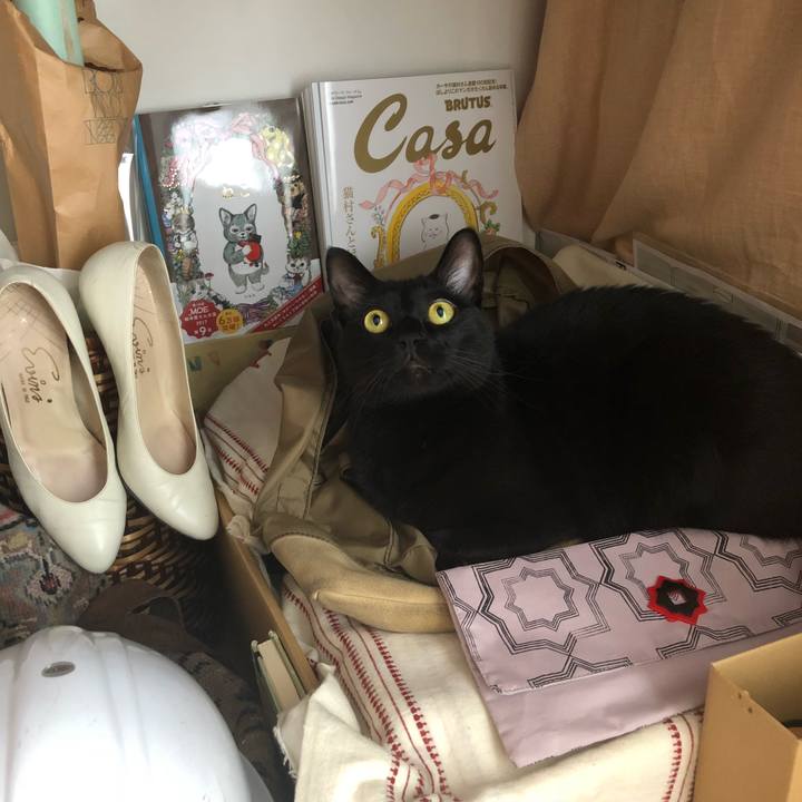 81c99fa3 21e5 462c 8829 bf9f316f1f80 1531043989327