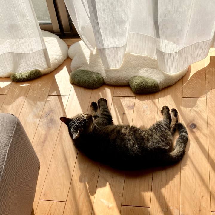 81c9a4be 357f 4973 8ffc b0fe3833be45 1641523013084