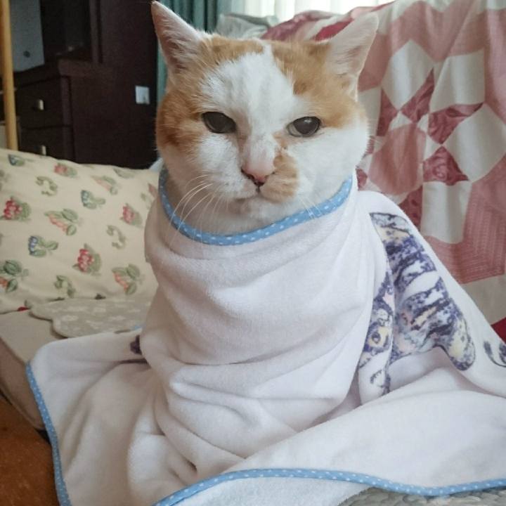 81c9bc78 230e 4096 aac0 2d81ee7e3c40 1556750345139