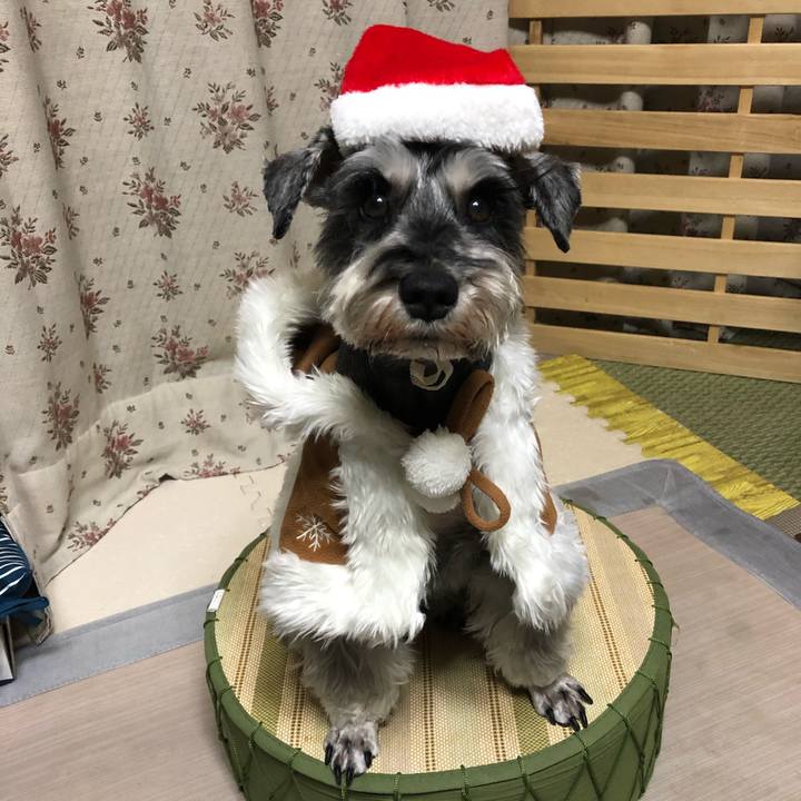 81ca46cc 8c03 445e 8c62 f15e6fdd710c 1640346278650