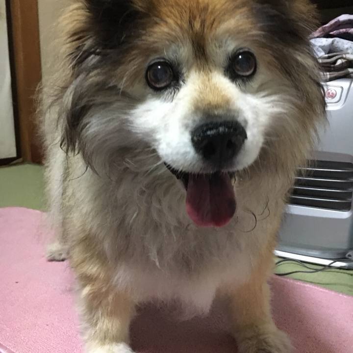 81caa07a 3f9e 471a b745 580c251ac9b7 1580162212828