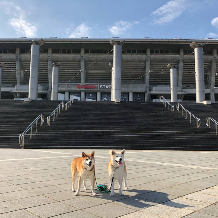 81caba1f 0421 4045 93b6 85b2c82b6d3d 1542018439587