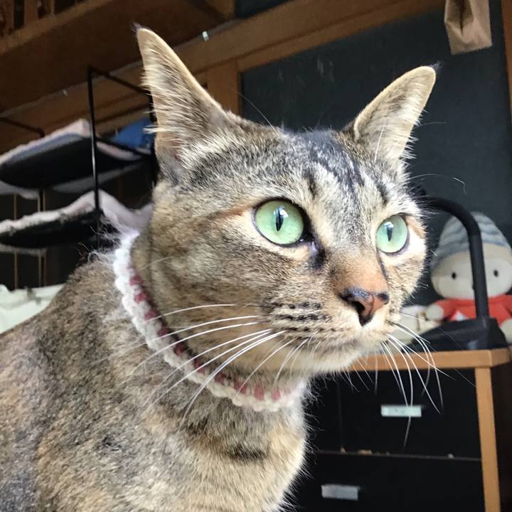 81caec93 7635 4ac8 b7c1 189d5f2439cb 1654207583343