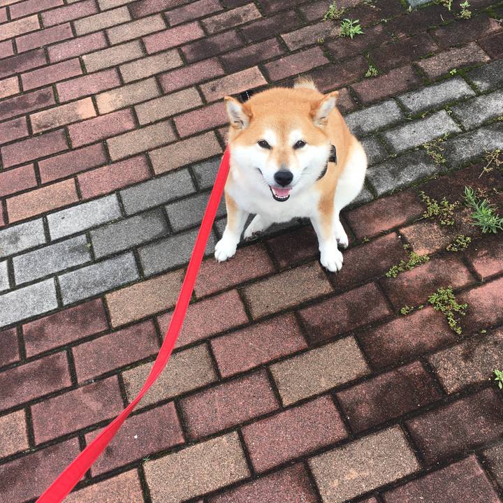 81caefb7 74a3 4cc4 be6a cc8f00729f08 1593322638394